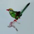 Swarovski Crystal | Crystal Paradise | Green Magpie | 5244650